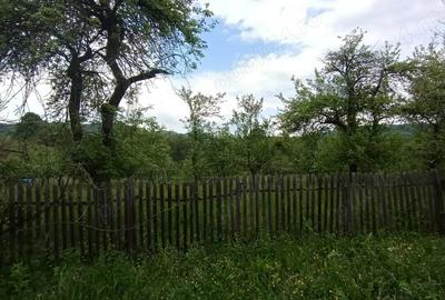 Teren de 860 mp, în Corbi - 2