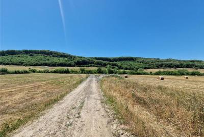 RECO parcele Betfia - 5