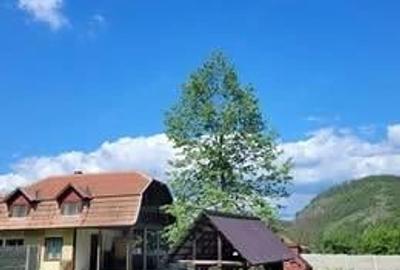 Casă cu 2 camere cu Teren 3000 Mp în Sud - 3