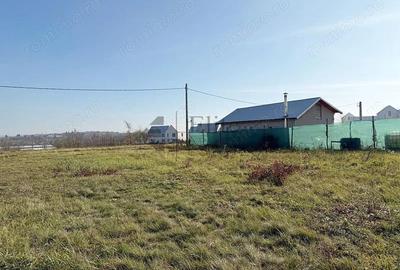 Teren intravilan 550 mp de vanzare in Paleu - 4