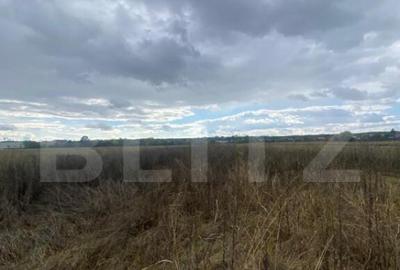 Teren extravilan, 2500 mp, zona Lucieni - 2