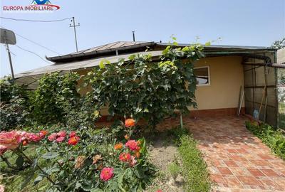 Casa de Tudor Vladimirescu Tulcea - 4