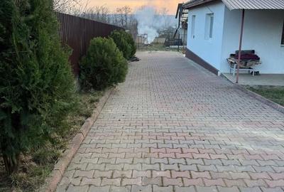 Casă cu Teren 1215 Mp în Hârtoape - 4