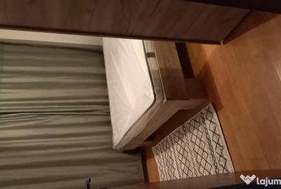 Apartament cu 2 camere semidecomandat în Berceni - 6