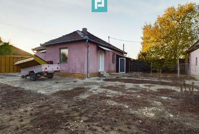 Teren generos și casă în Sânnicolau Mic - 14