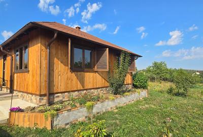 Teren cu cabanuta de lemn in Zaicesti - 2