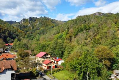 CABANA DE LA MUNTE, UN LOC FERMECATOR - 2
