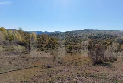 Teren de 7382 mp, în Central - 11