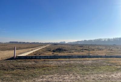 Pipera -Padurea Baneasa 5000m -C.U. Pipera -Padurea Baneasa 5000m -C.U. - 7