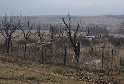 Spațiu comercial, în Dobreni - 2