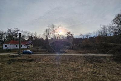 Teren Plaiu_Provita de Sus- intravilan 5373 mp_deschidere... - 1