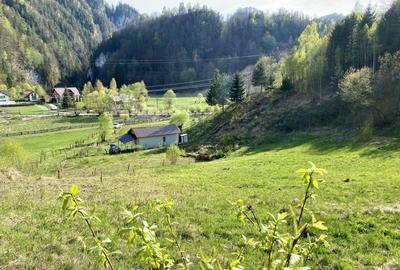 Teren panoramic insorit, utilitati, panta mica si padure, turism sau vacanta - 5