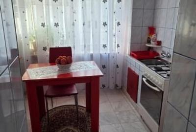 Apartament cu 3 camere decomandat în Banat - 7