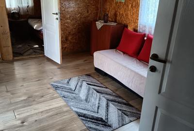 Casă individuală cu 3 camere cu Canalizare în Surducu Mic - 9