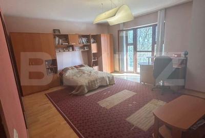 Casă cu 6 camere cu Teren 3982 Mp în Remetea Mare