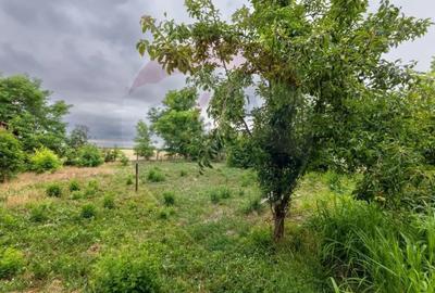 Teren în Variașu Mare - 2