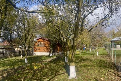 Casă cu 3 camere cu Teren 1140 Mp în Breaza de Jos - 1