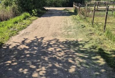 Vand parcele de teren intravilan in Iernut - 4