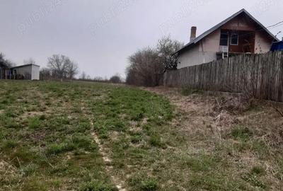 Teren în Dărmănești - 4