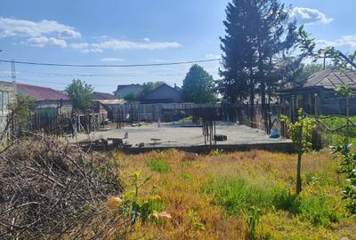 Teren de 700 mp, în Beba Veche - 5