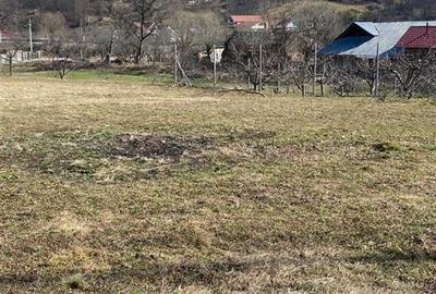 Teren de vanzare pentru constructii Slanic Moldova - 6