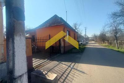 Casă individuală cu 2 camere cu Teren 1501 Mp în Săvârșin - 2