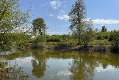 Teren 10000 mp Deschidere Lac Silistea Snagovului De Vanzare Teren 10000 mp Deschidere Lac Silistea Snagovului De Vanzare - 4
