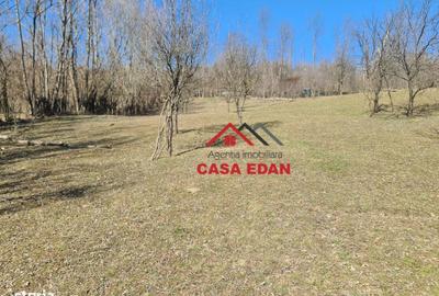 Spațiu comercial, în Brebu - 10