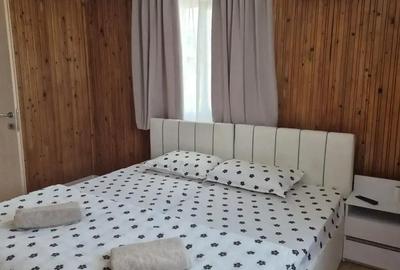 Cazare Boldesti Scaeni - 1