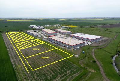 Teren Construcții intravilan de 4000 mp, în Sânandrei - 1