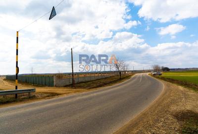 Teren Construcții intravilan de 7092 mp, în Horia - 2