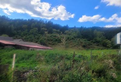 FILM! Teren 33.274 mp, Tulghes, Harghita, panorama munte, destinatie recreativa FILM! Teren 33.274 mp, Tulghes, Harghita, panorama munte, destinatie recreativa - 3