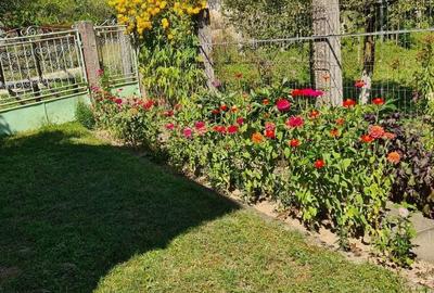 Casă cu 6 camere cu Teren 1932 Mp în Creaca - 13