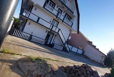 Casa cu 2 etaje si hala mare in Ineu de Cris - 7