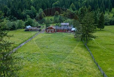 Ferma de vanzare, teren 21436 mp intravilan, Cosnea, Agas - 5