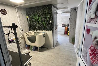 Apartament în Vila tip boutique, 3 camere+ terasă+ spațiu comercial - 20