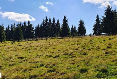 Teren de 10800 mp, în Beliș - 1