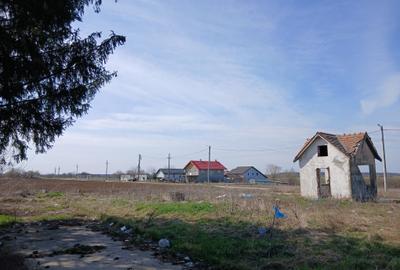Teren intravilan 16400 mp, Balotesti-Saftica - 50 euro/m2 - 6