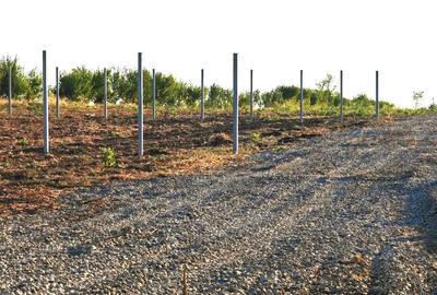 Comana intravilan, loturi 528mp, Delta, gaze, privat (credit/rate) - 3