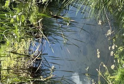 Casa situata intr-o zona superba - 2