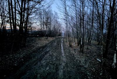 Teren agricol extravilan de 5000 mp, în Șinca Nouă - 6