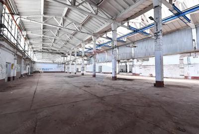 Teren industrial 35.000 mp cu hale de productie Craiova - 1