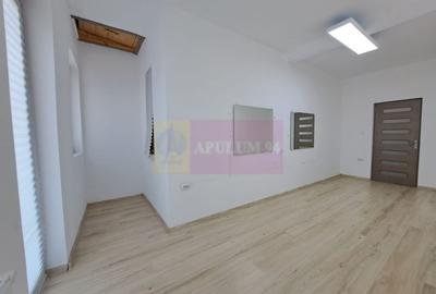 Vilă P+3, 12 camere, 300 mp - birouri/clinică/locuință, Timpuri Noi Vilă P+3, 12 camere, 300 mp - birouri/clinică/locuință, Timpuri Noi - 15