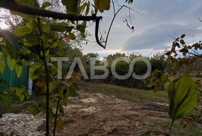 Teren intravilan de vanzare 550m front 21 m utilitati la 120m Cisnadie - 3