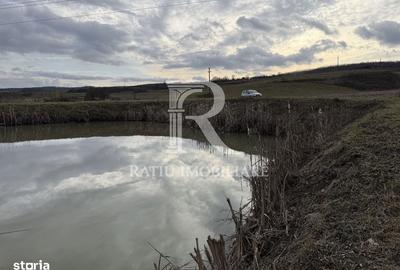 Spațiu comercial, în Rontău