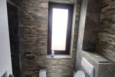 Apartament cu 3 camere decomandat în Tilișca - 6