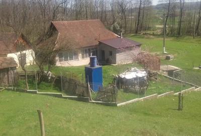 Casă cu 4 camere cu Teren 26000 Mp în Hălmagiu - 10