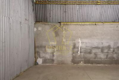 Spatiu Comercial tip Hala I Zona Lipovei - 9