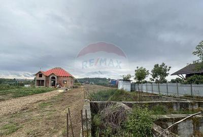 Teren de 4280 mp, în Lăpuș - 1