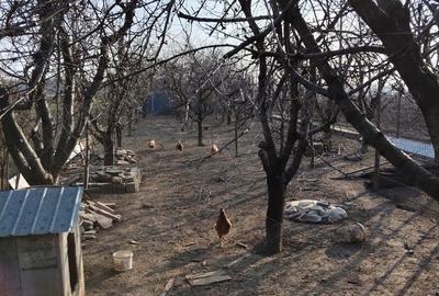 Vanzare casa cu mansarda in Puchenii Mosneni, Prbova - 10